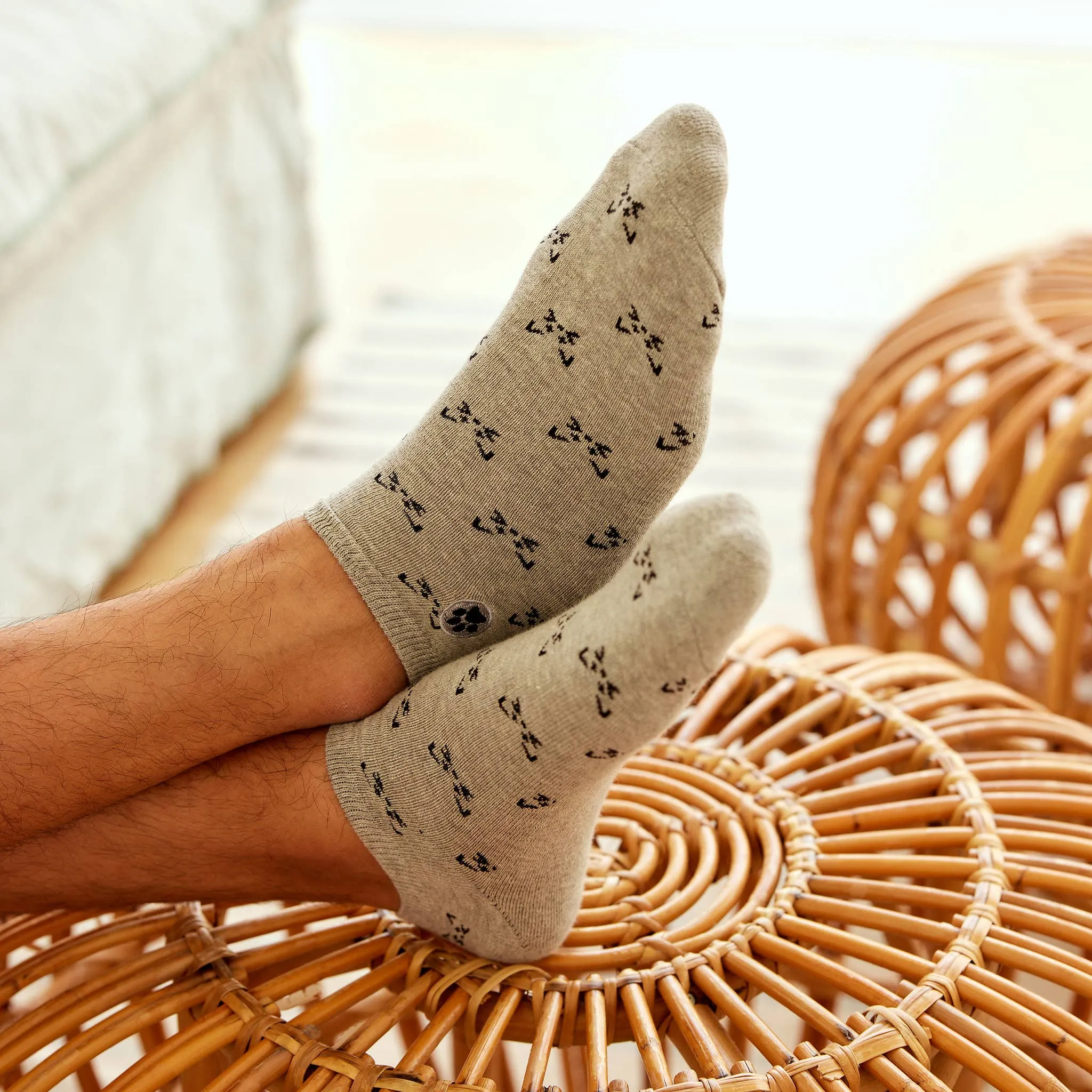 Ankle Socks that Save Cats