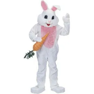 Easter Bunny Rental Costume for local pick up only